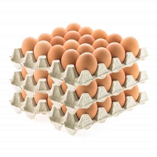 Large Eggs (Crate of 30)